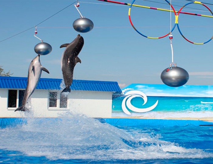 Дельфинарий Flipper - Курортный комплекс «Аквамарин»